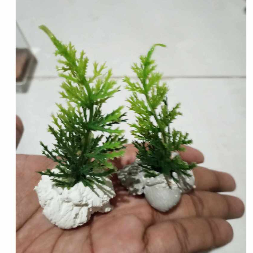 bunga hias aquarium plastik pinus mini