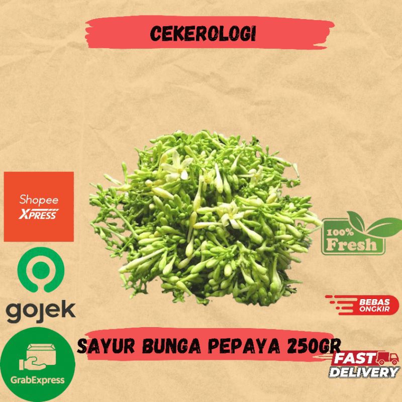 

Sayur Bunga Pepaya 250gr / Sayur Bunga Pepaya / Sayur Bunga Pepaya Fresh Berkualitas / JABODETABEK / Sayur Segar / Sayuran / Sayur