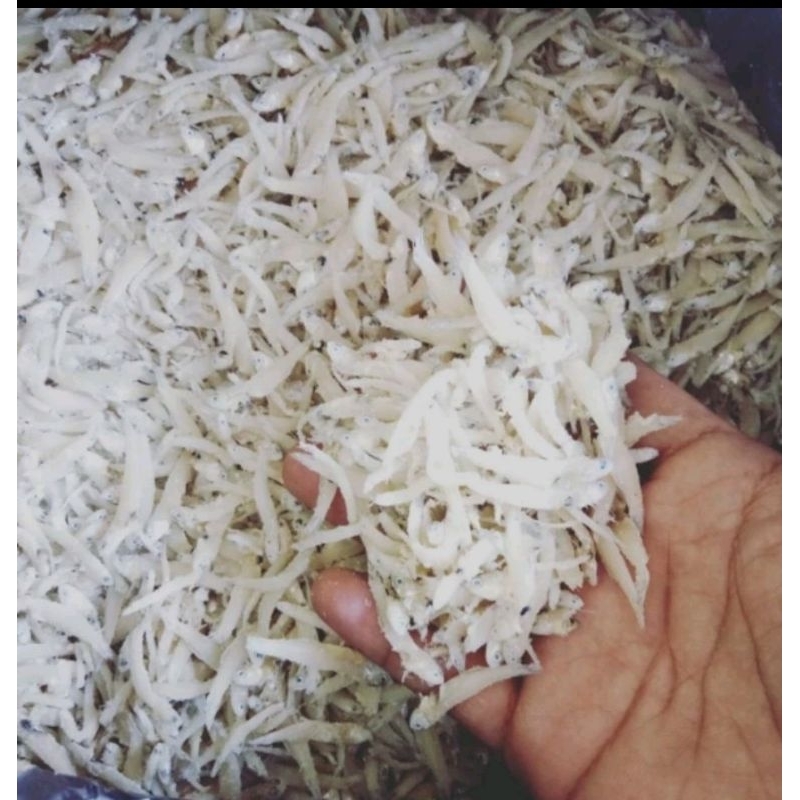 

Grosir 100gram ikan Asin teri Medan Teri Nasi Segar Murah
