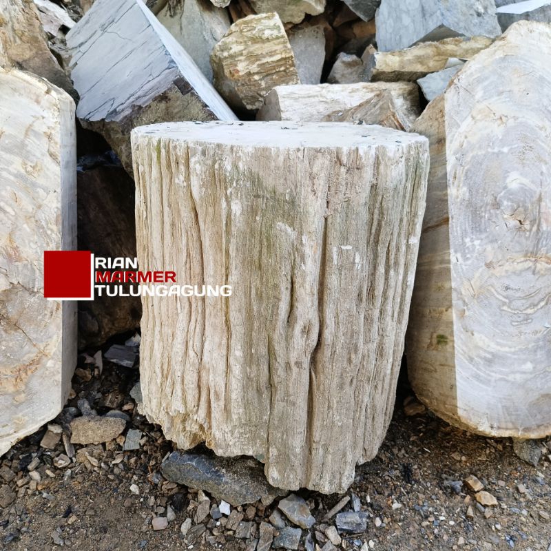 Kursi Taman Natural Batang Fosil Kayu putih