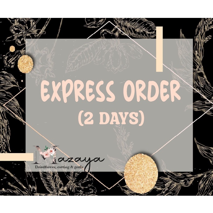 

ART S14L EXPRESS ORDER akrilik brush