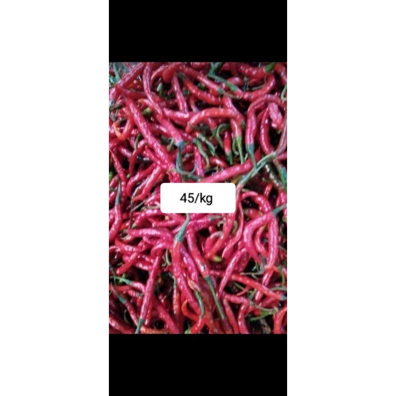 

cabe rawit