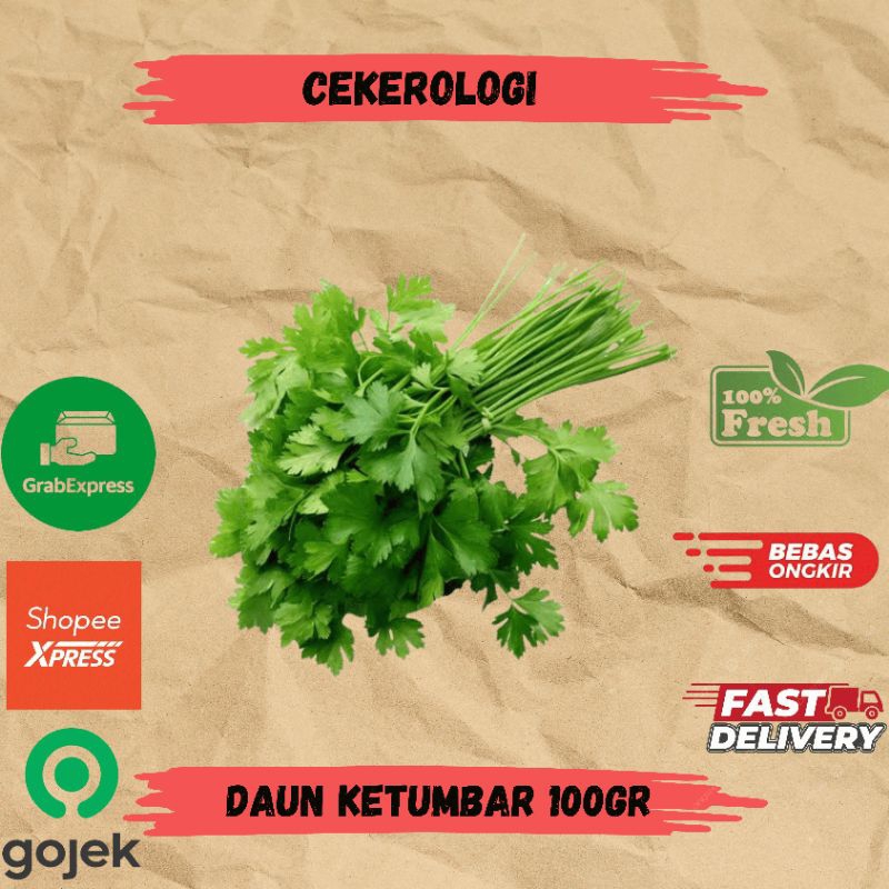 

Daun Ketumbar 100gr / Daun Ketumbar / Daun Ketumbar Fresh Berkualitas / JABODETABEK / Daun Ketumbar / Sayur Segar / Sayuran / Sayur