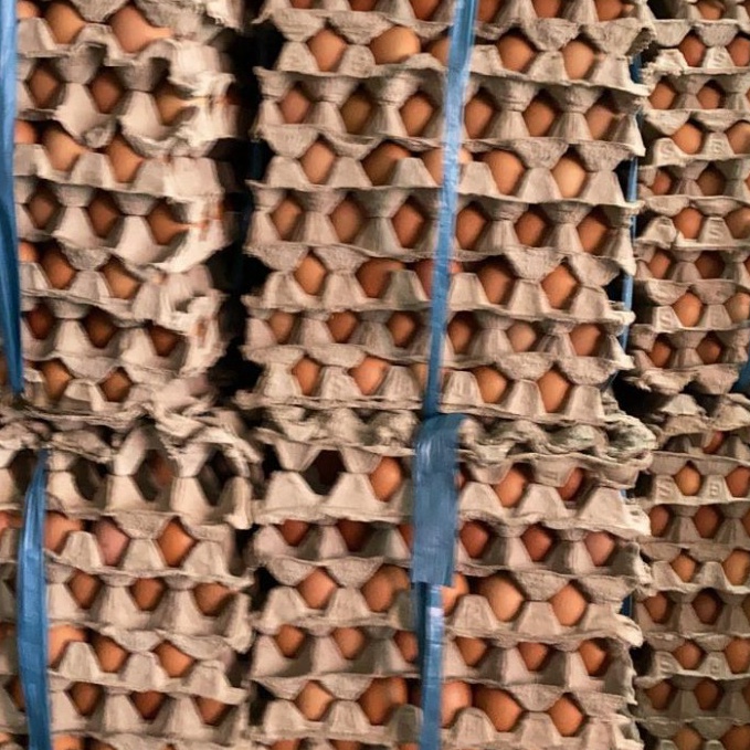 

Produk terbaru TELUR AYAM NEGRI HARGA PER KILO