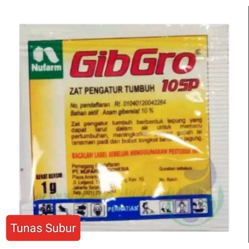 Zpt Gibgro 10 sp