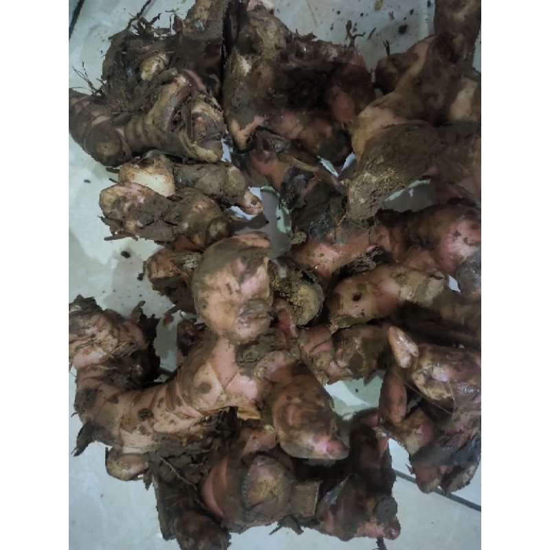 

LAOS 250 GRAM