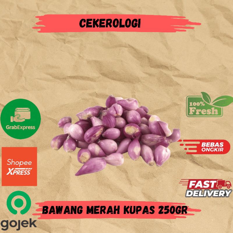 

Bawang Merah Kupas 250gr / Bawang Merah Kupas / Bawang Merah / Bawang Merah Fresh Berkualitas / Sayur Segar / Sayuran /Sayur
