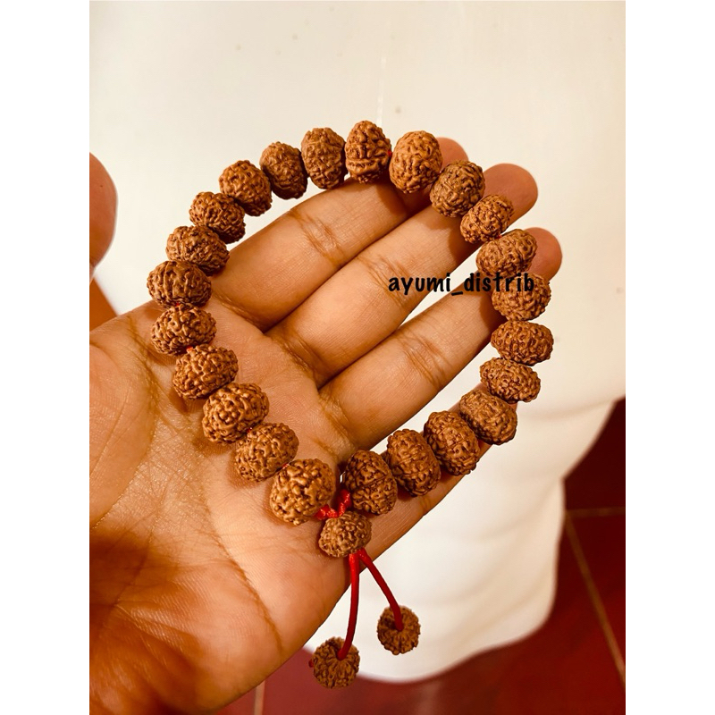 Gelang jenitri rudraksha mukhi 7 tali adjustable