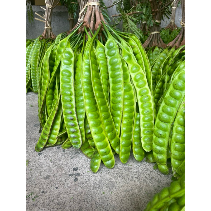 

pete tua tua tanggung