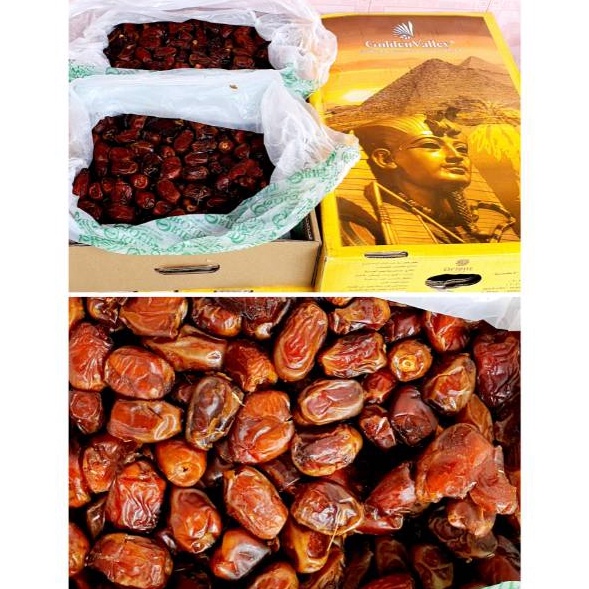 

Pasti Laku Kurma GOLDEN VALLEY Kurma BARARI ZAHDI Kurma Sukari Al Qassim Kemasan 1 Kg Kurma Basah Mesir Empuk 1 gram