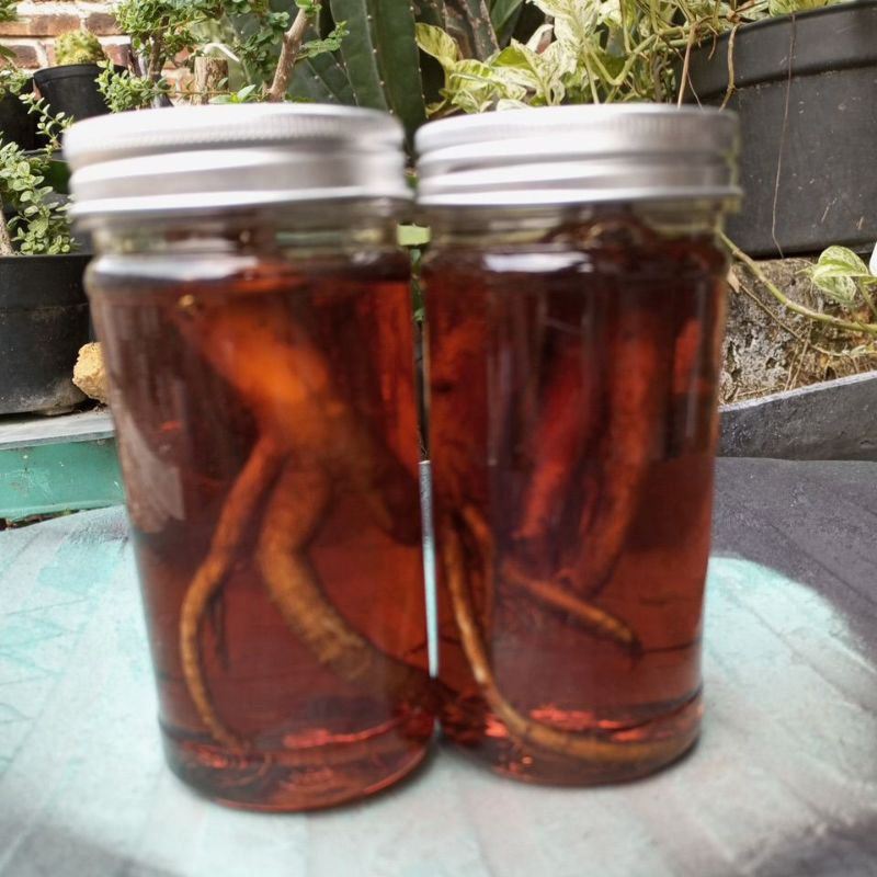 

Madu Ginseng merah Madu hutan asli Ginseng merah Fermentasi Gingseng 200ml stamina kesehatan asli