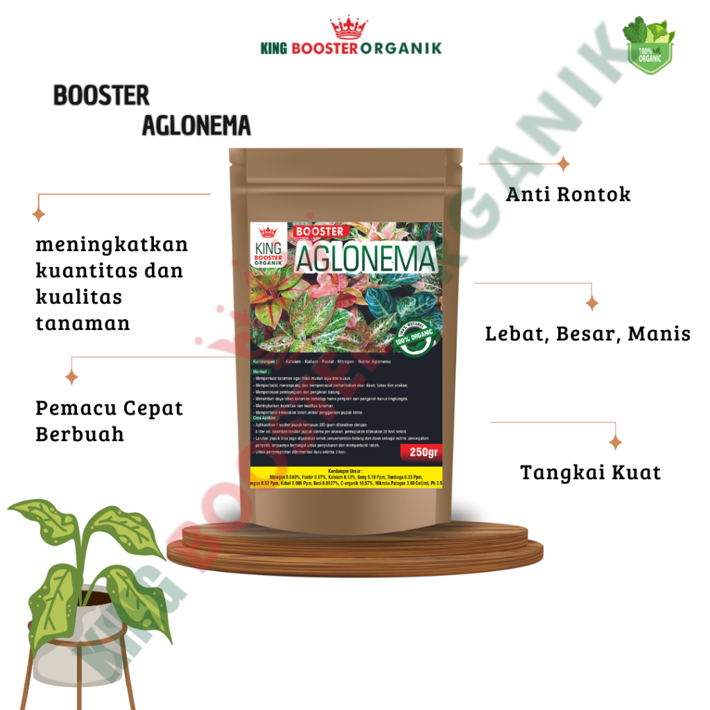 Pupuk Organik Penyubur Tanaman Aglonema Booster Aglonema Cepat Tumbuh Daun dan Tunas Pupuk Aglonema 