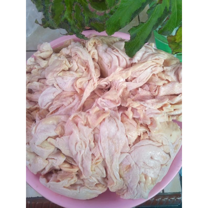 

KULIT BODY AYAM
