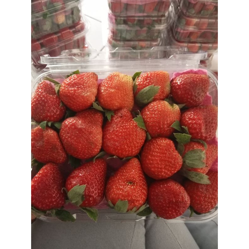 

Strawberry fresh 500g premium jumbo segar/strawberry segar Ciwidey manis Grade A