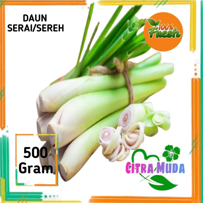 

Serai Segar 500 gram alami