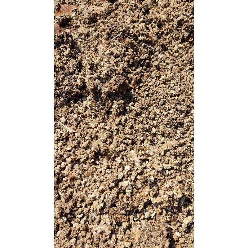 Kohe puyuh kering 700 gram