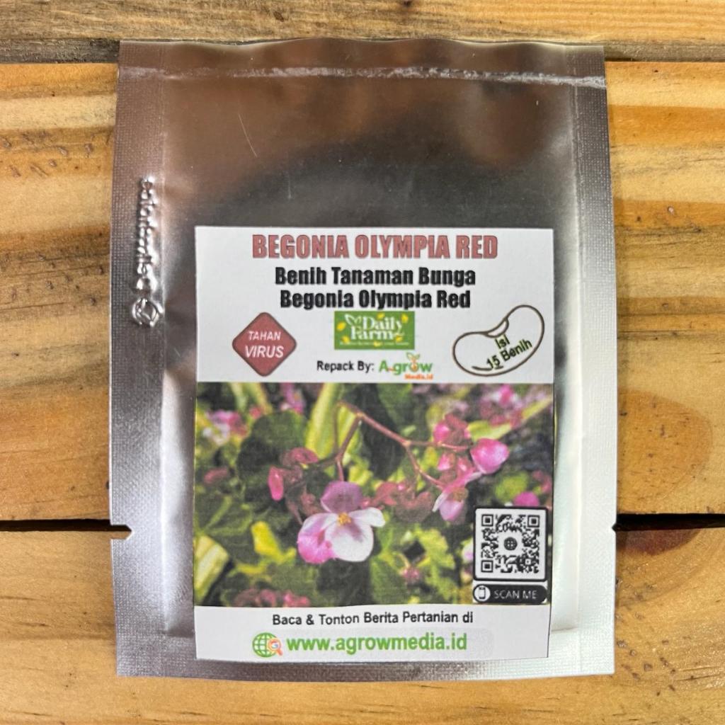 15 Benih Tanaman Bunga BEGONIA OLYMPIA RED Bibit Biji Tahan Virus Super Unggul Repack Daily Farm