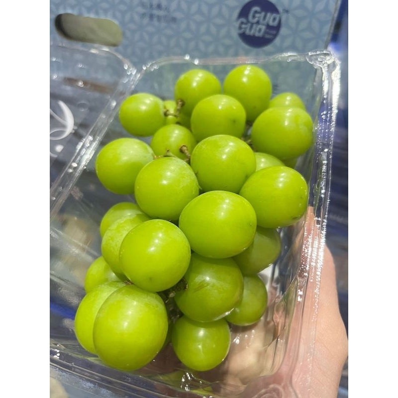 

anggur shine muscat