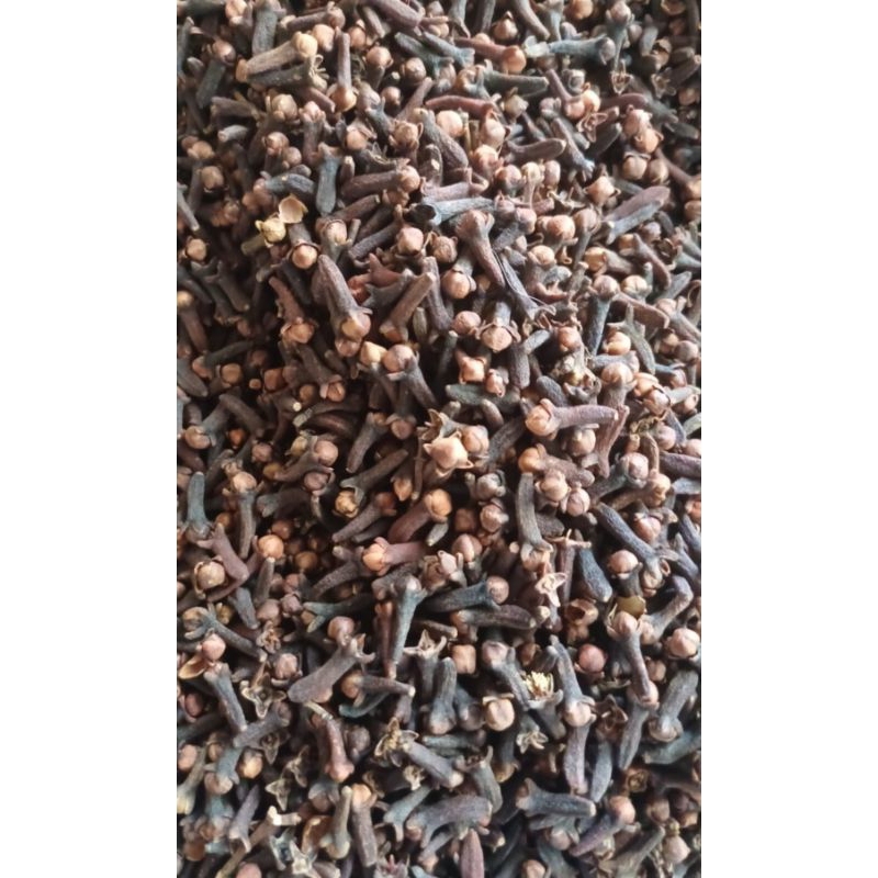 

Cengkeh/Cengkih Premium kualitas terbaik 100gr