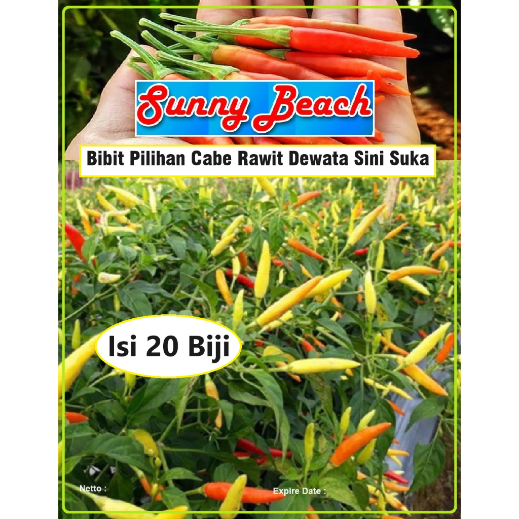 Bibit Pilihan Cabe Rawit Dewata Sini Suka | Biji Benih Cabe Rawit