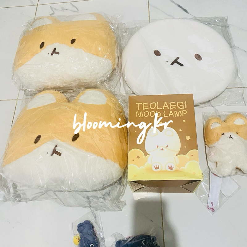 [READY STOCK] TEOLAEGI MD DESIGNED BY BAEKHYUN - GRIPTOK