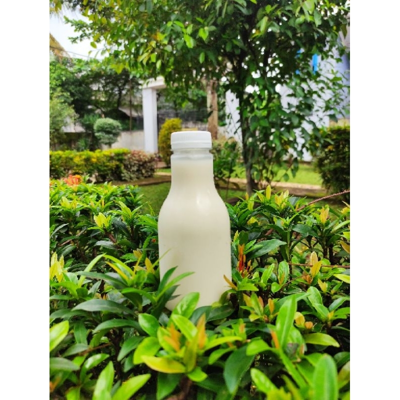 

Susu Kedelai Dr. Soya original