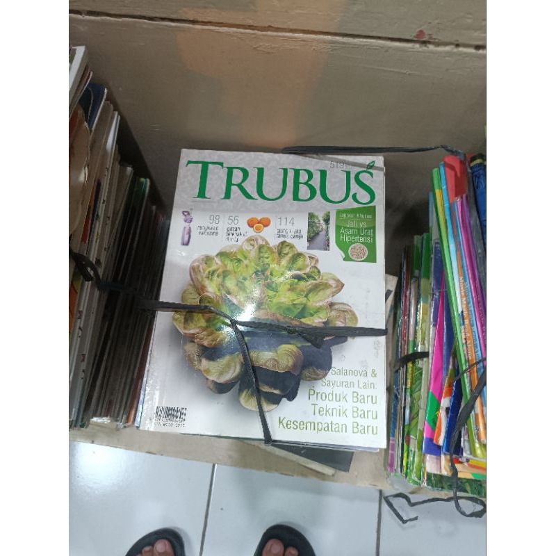 majalah trubus