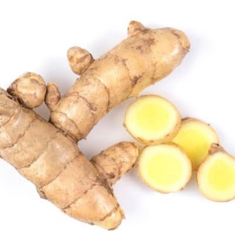 

Kunyit Putih Segar 500 gram / Kunyit Kunir Temu Putih Asli