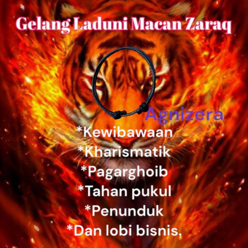 GELANG LADUNI KAROMAH PENDAMPING MCN ZARAQ