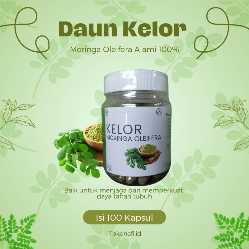 

Daun kelor 100 kapsul (moringa oleifera 100% alami)