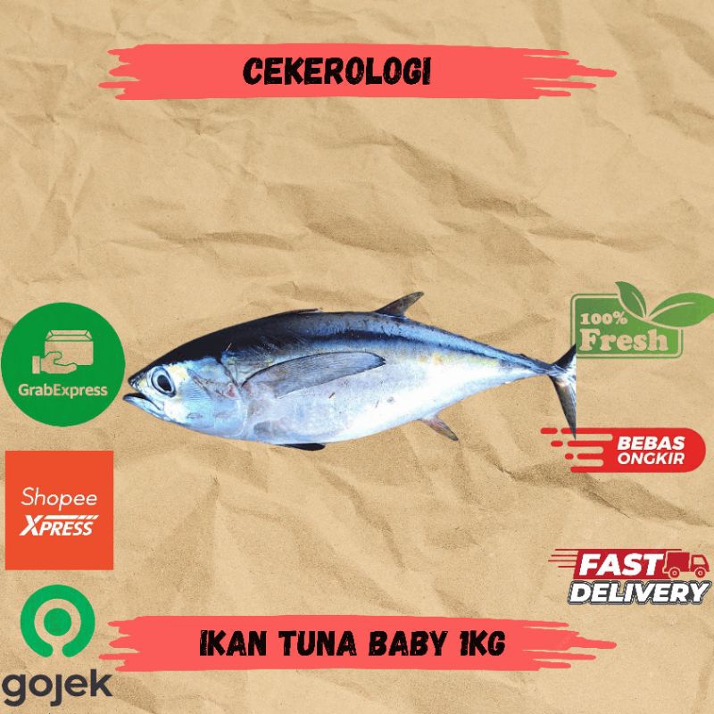 

Ikan Tuna Baby 1kg / Ikan Tuna Baby / Ikan Tuna / Ikan Tuna Baby Fresh Berkualitas / JABODETABEK / Ikan Segar / Ikan