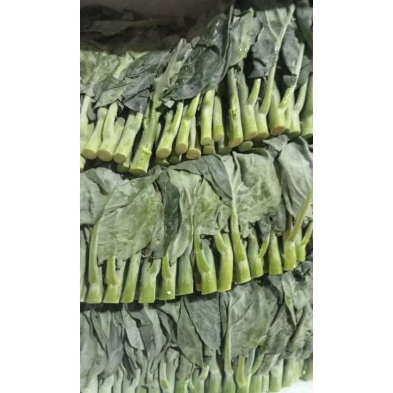 

RB SAYUR KAILAN ORGANIK 250G 500G / KAYLAN BATANG / JAMIN SEGAR
