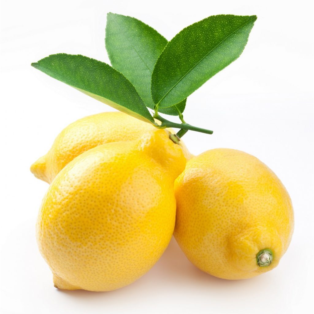 biji benih buah jeruk lemon /4 biji