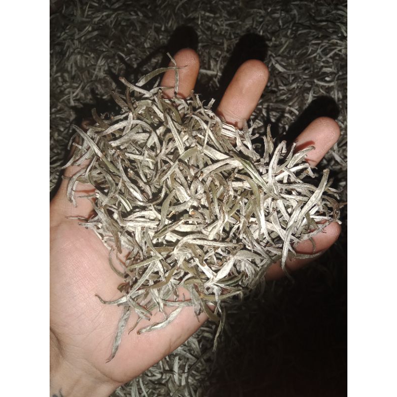 WHITE TEA /TEH PUTIH