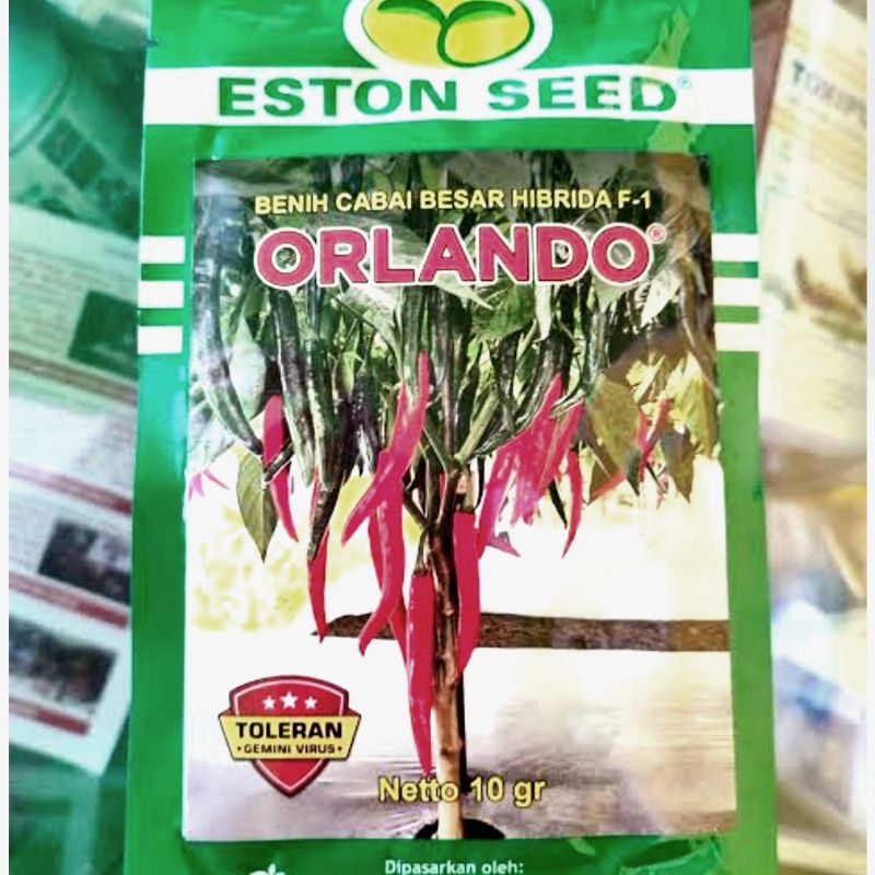 benih cabe Orlando - Estoon Seed