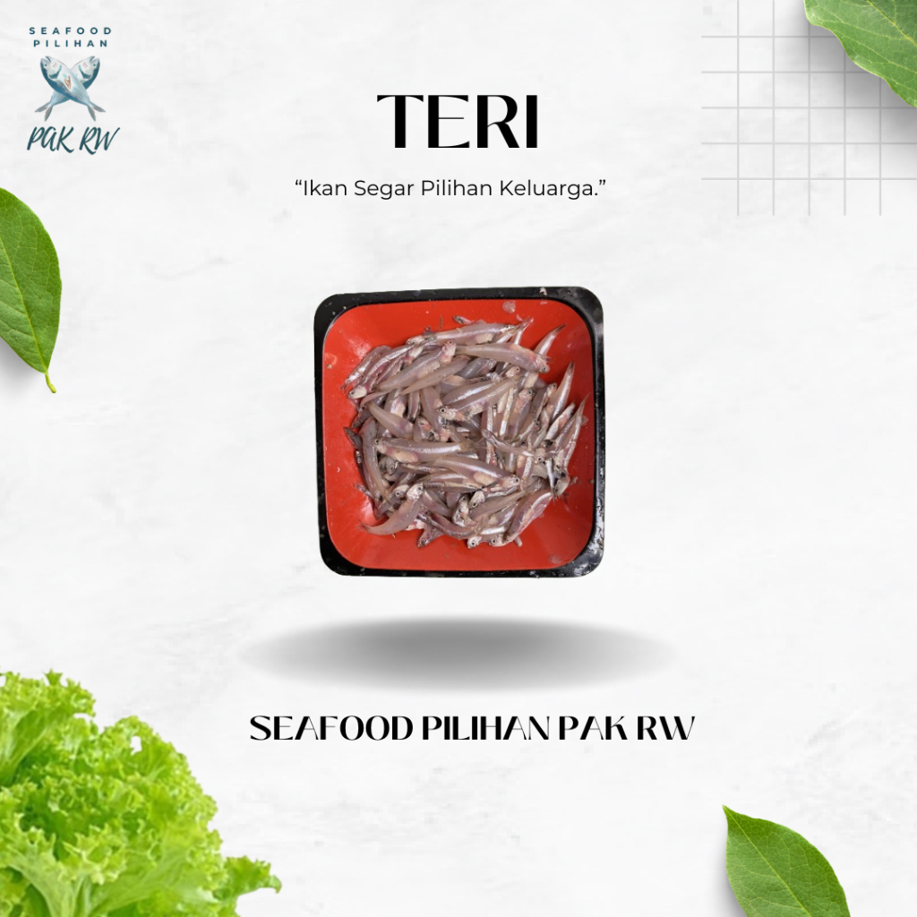 

Ikan Teri