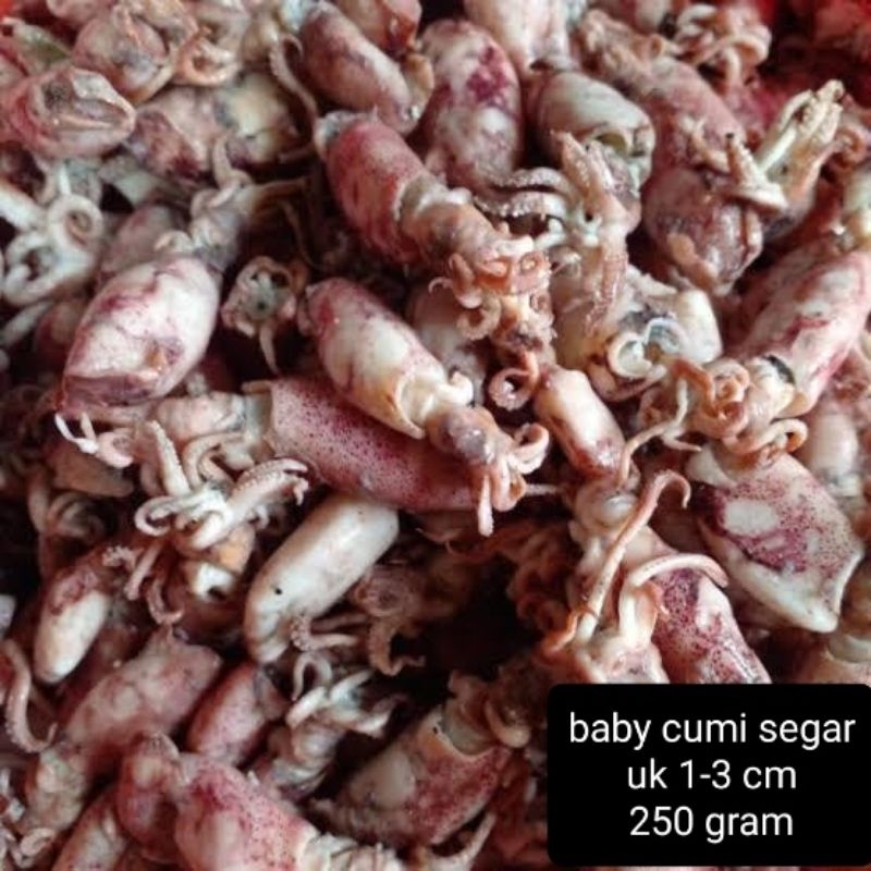 

cumi asin rebus size baby 250 gram