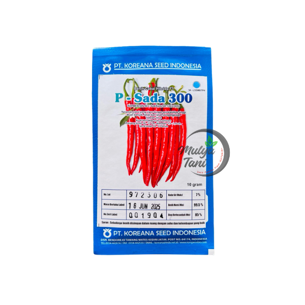 Benih P-Sada 300 Cabe Besar Hibrida Psada 300 Koreana Seed 10 Gram