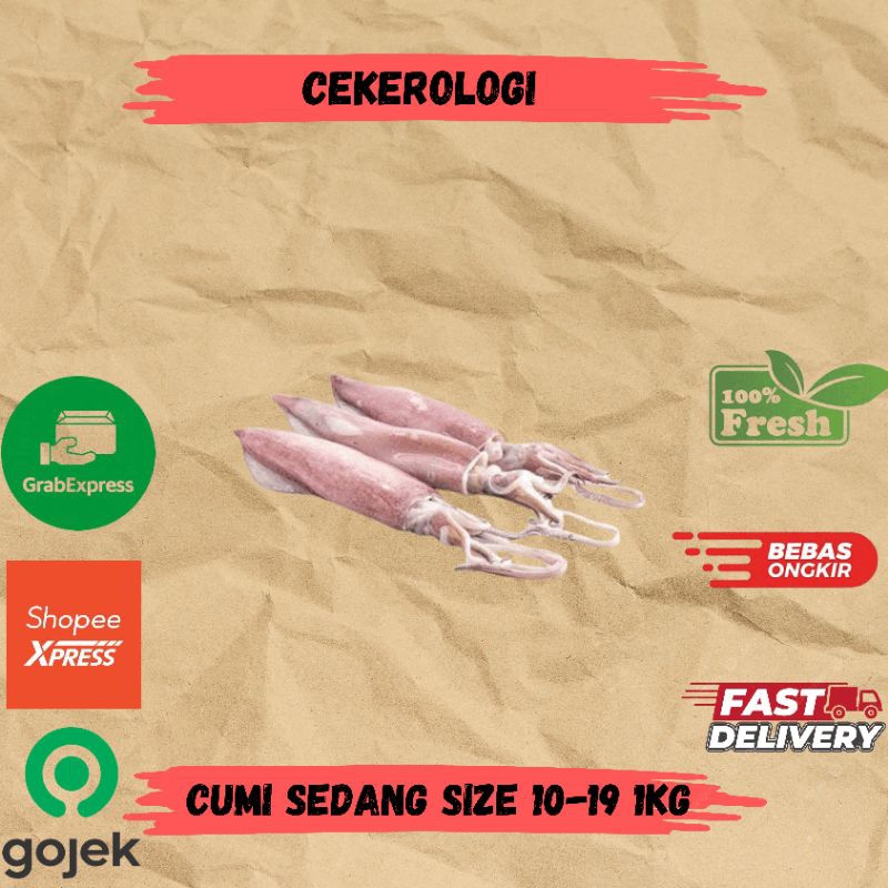 

Cumi Sedang Size 10-19 1kg / Cumi Sedang / Cumi / Cumi Sedang Fresh Berkualitas / JABODETABEK / Seafood Segar / Seafood