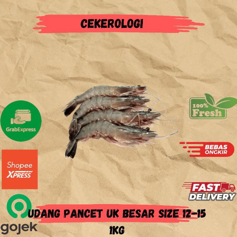 

Udang Pancet Uk Besar Size 12-15 1kg / Udang Pancet Super Jumbo / Udang Pancet Jumbo / Udang Pancet / Udang Pancet Besar Fresh Berkualitas / JABODETABEK / Seafood Segar / Seafood