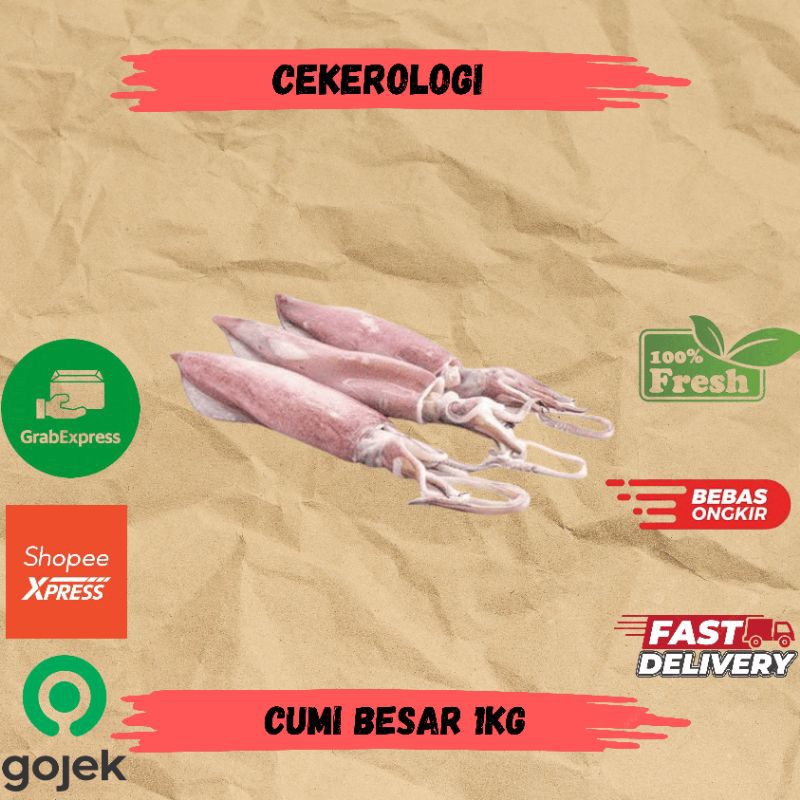 

Cumi Besar 1kg / Cumi / Cumi Besar Fresh Berkualitas / JABODETABEK / Seafood Segar / Seafood