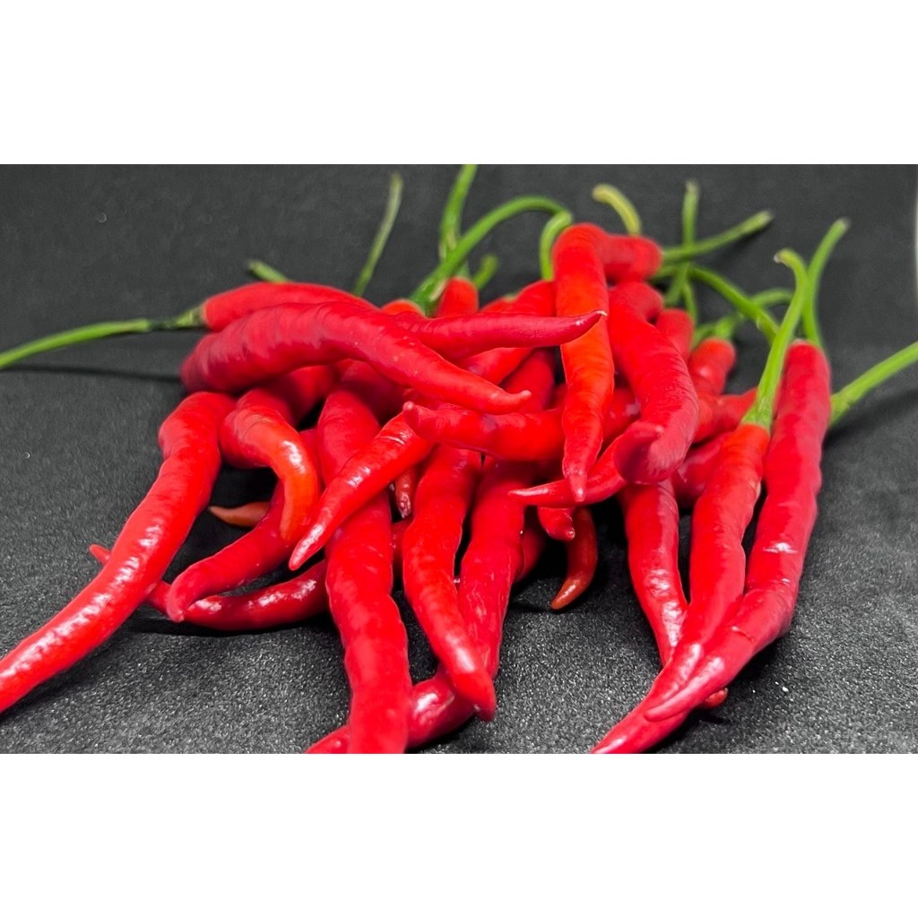 

CABAI MERAH KERITING 1 kg