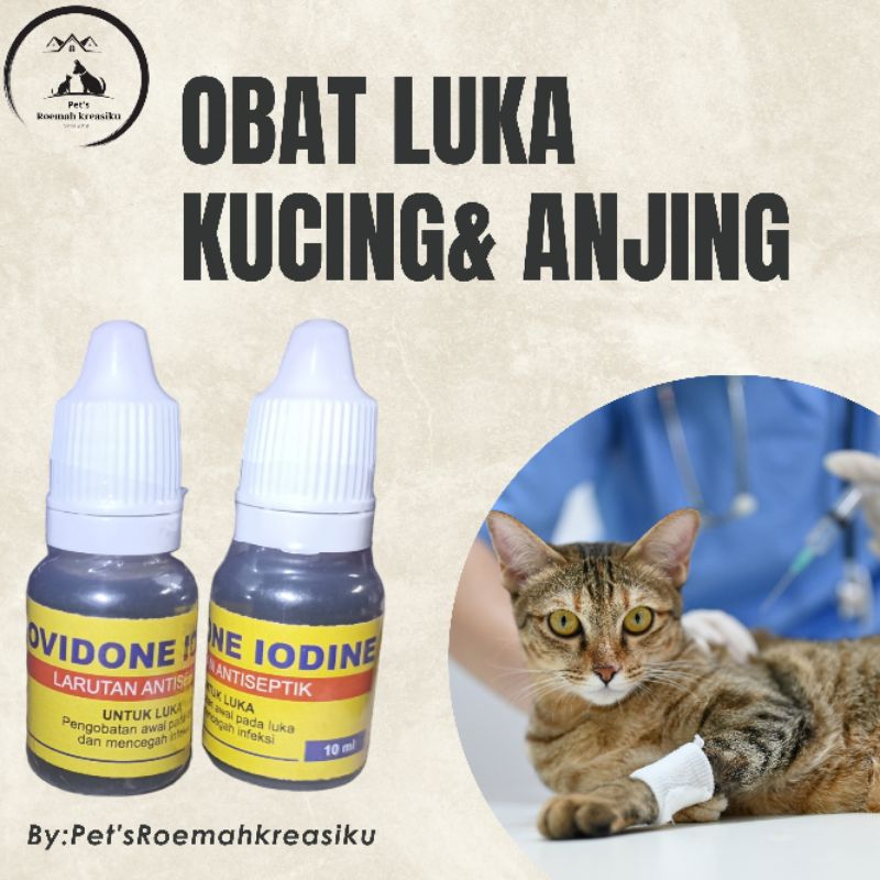 obat luka kucing#obat merah hewan#obat luka hewan