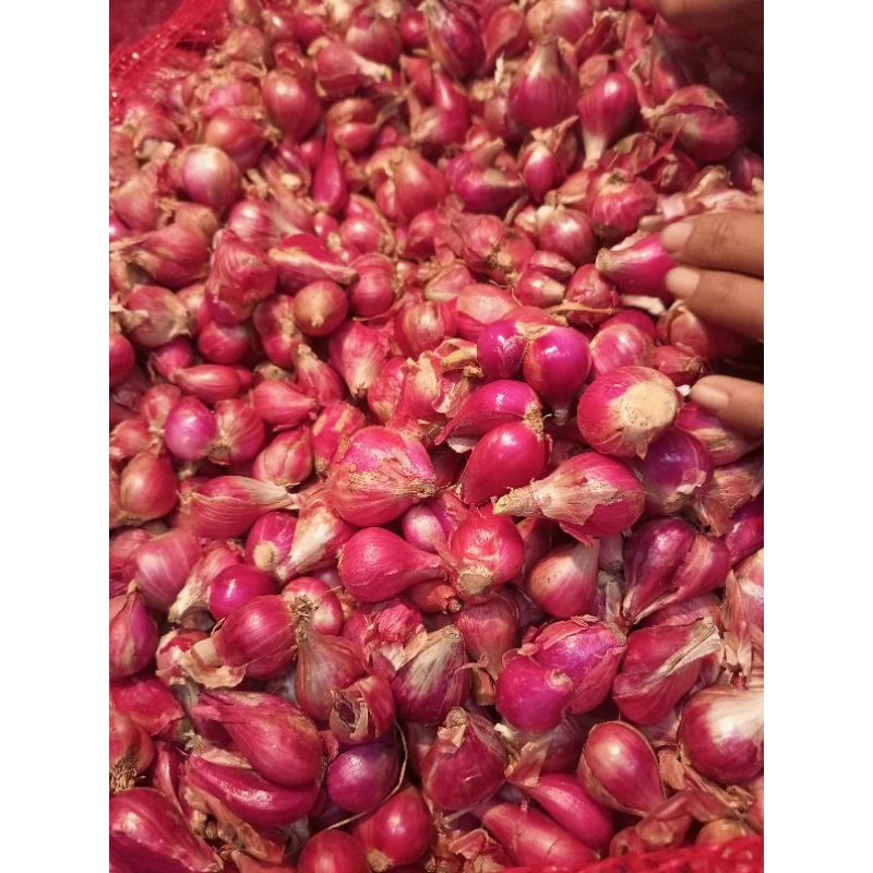 

bawang merah berebes asli super 1kg