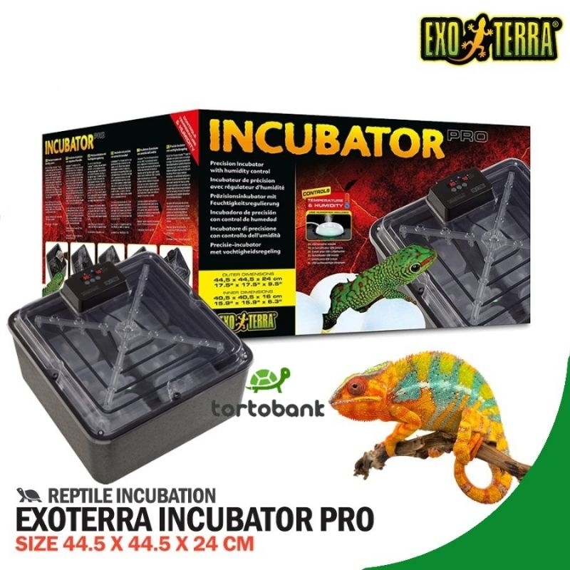 REPTILE INCUBATOR PRO EXOTERRA - MESIN TETAS TELUR REPTIL - INKUBATOR EXO TERRA COCOK UNTUK INKUBATO