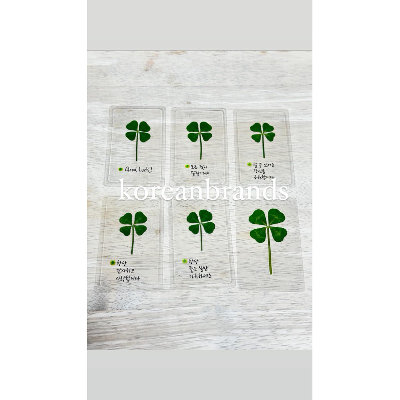 

READY 20 May CLOVER HONG HAE IN THE QUEEN OF TEARS