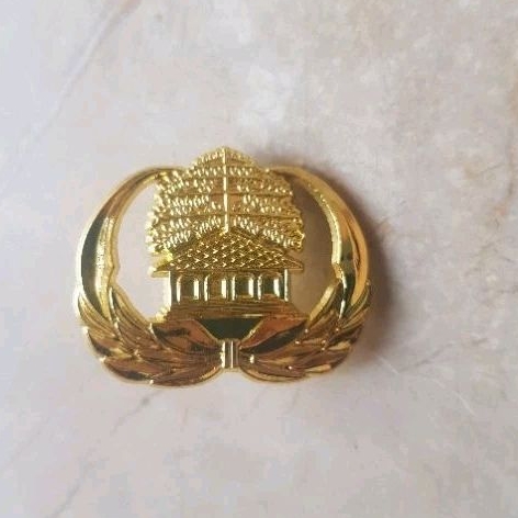 Pin Korpri | Pin ASN | Pin PNS | Pin PPPK | Pin Pegawai Magnet Peniti