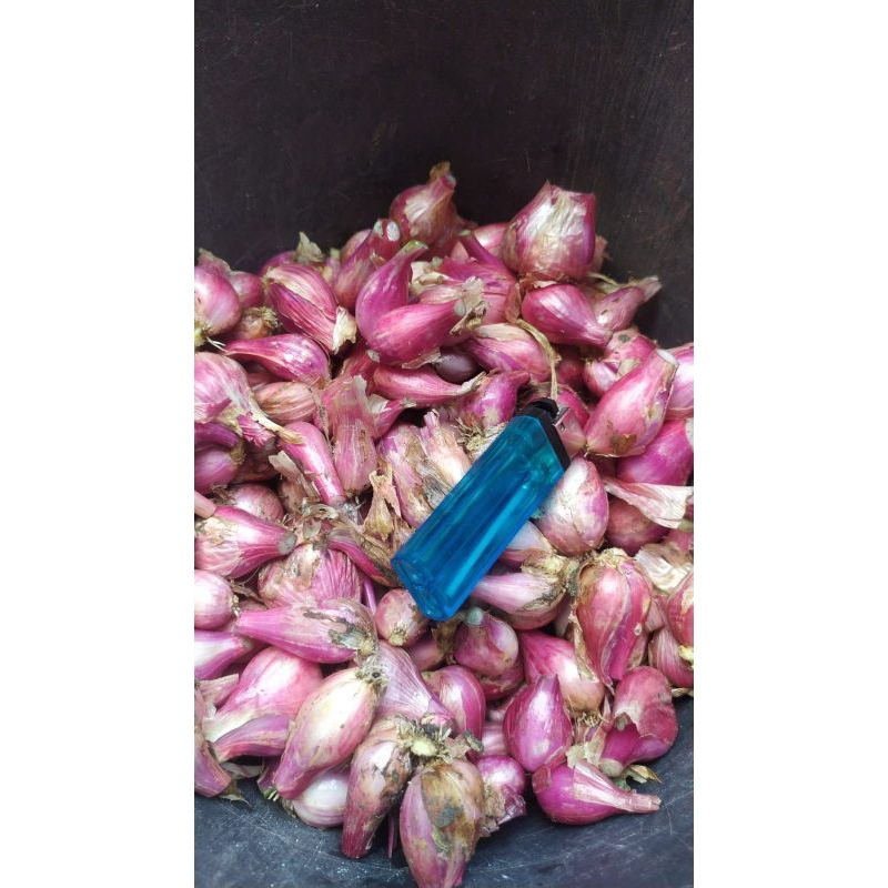 

Bawang merah 1kg fresh langsung dari petani