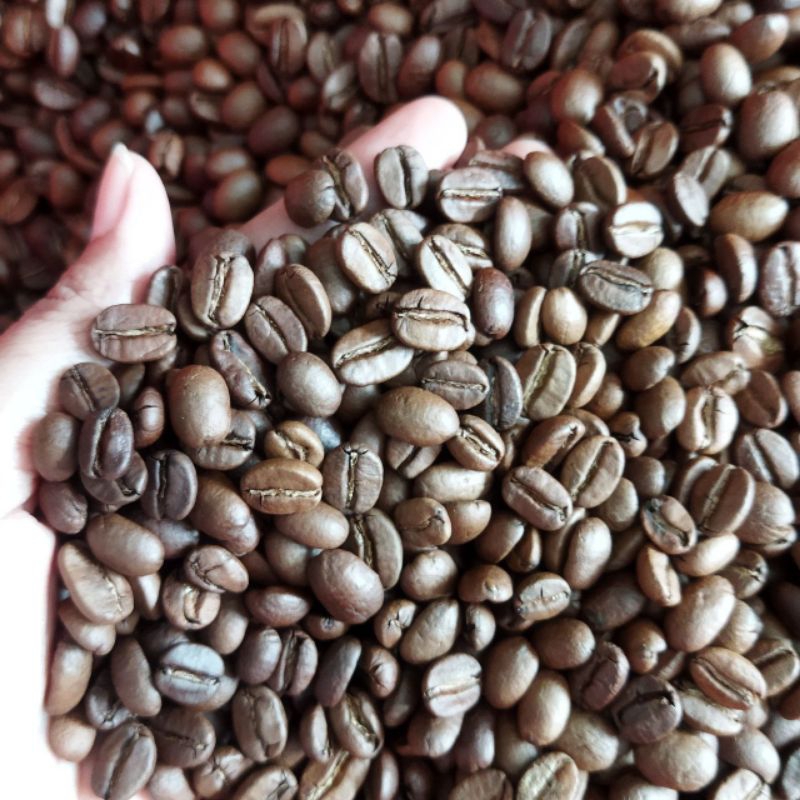 

Arabika Aceh Gayo 200G