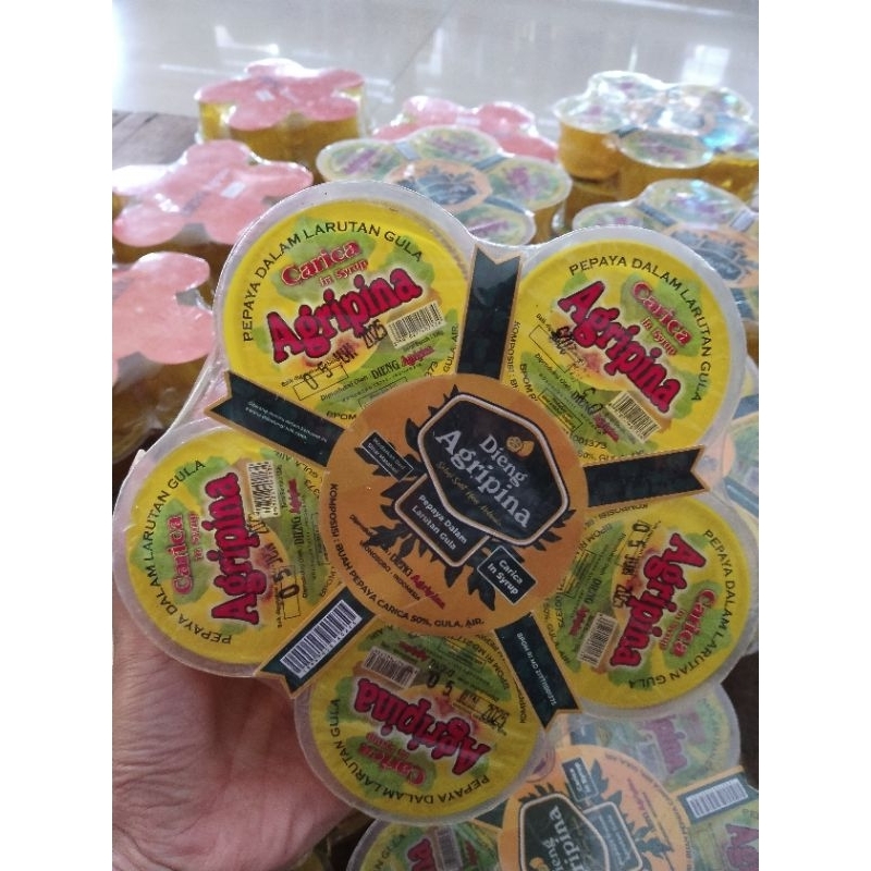 

Carica Khas Dieng 130gr by AGRIPINA SUDAH BPOPM TERMURAH